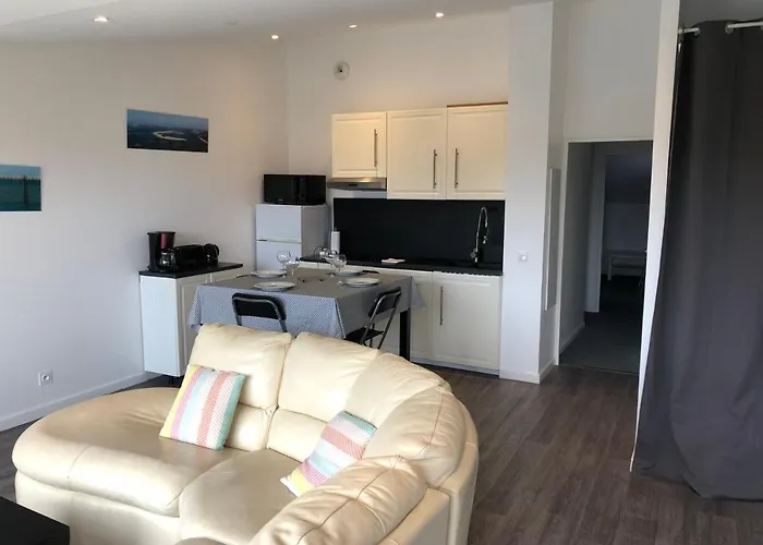 Les Locations Du Bassin Appartements Alexandre